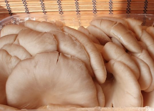 1. Этап. Вешенки с рисом: 1. Грибочки вымойте и немного обсушите.