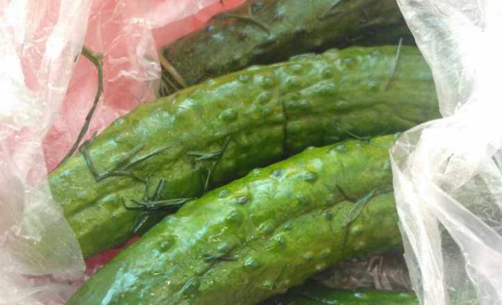 1. Этап. Огурцы-пятиминутка: 2. Теперь завяжем пакет и хорошенько встряхнем его. Пусть теперь при комнатной температуре огурчики настаиваются 4-5 часов.