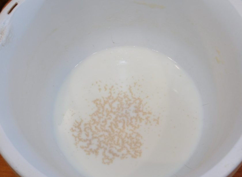 1. Этап. Белый хлеб с сыром и орехами: Растворите дрожжи в теплом молоке.