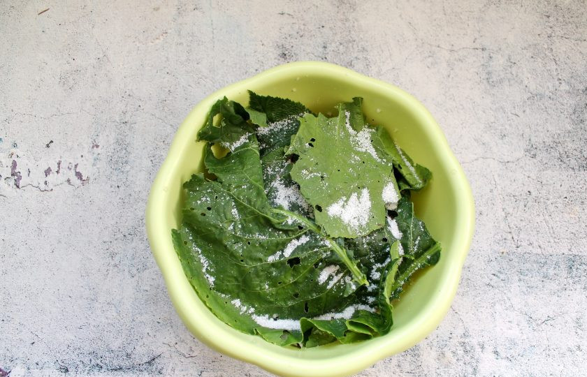 1. Этап. Черные грузди на зиму: Верхний слой груздей посыпьте солью и полностью закройте зеленью.