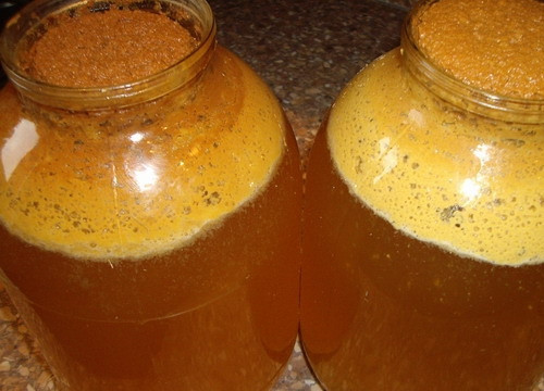 1. Этап. Вино из яблок: После этого образовавшуюся сверху мезгу стоит удалить, чтобы осталось только сусло.