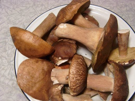 1. Этап. Икра из белых грибов: Белые грибы перебираем, удаляем с них всяческий сор. Удобно это делать губкой для посуды, которая хорошо снимает загрязнения.