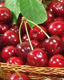 1. Этап. Магическая черешня: 2. Вы можете использовать свежую, консервированную или размороженную черешню для украшения коктейля. Если же ягоды найти сложно, подойдет классическая вишня в шоколаде.