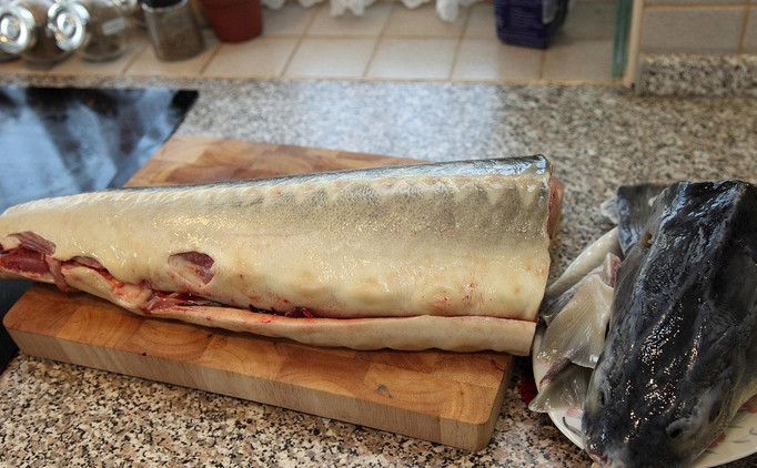 1. Этап. Рыба на костре: Обдайте рыбу кипятком, вырежьте ножом шипы, очистите чешую, удалите хвост и плавники. Сделайте надрез от головы для хвоста и выпотрошите рыбу. Голову обрезаем, остальную часть рыбы промываем и обсушиваем.