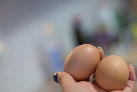 1. Этап. Рубленые котлеты из куриной грудки: 2. В мисочку к луку и чесноку вбить яйца. Слегка взбить их вилкой или ложкой.