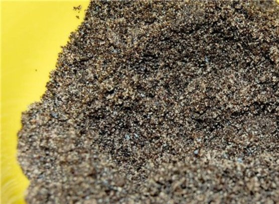 1. Этап. Кутья богатая: Мак размелите в кофемолке.