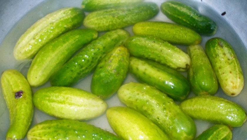 1. Этап. Закатка огурчиков: 1. Огурцы моем, заливаем холодной чистой водой — и пусть постоят 3-4 часа.