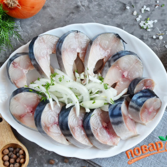 Скумбрия соленая