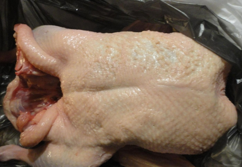 1. Этап. Рождественский гусь с яблоками: 7. Гуся хорошо мою и ощипываю, затем протыкаю его по всей поверхности деревянной палочкой, чтобы маринад хорошо пропитал птицу.