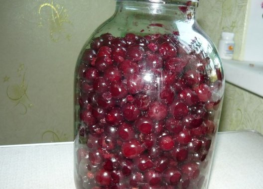1. Этап. Желе из вишни на зиму: Всего очищенных ягод у нас должно получиться столько, чтобы заполнить полностью трехлитровую банку, потому что все остальные ингредиенты рассчитаны на такое количество вишни.