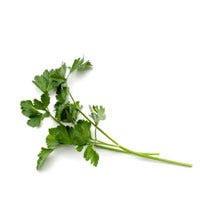 Chicken Vegetable Soup