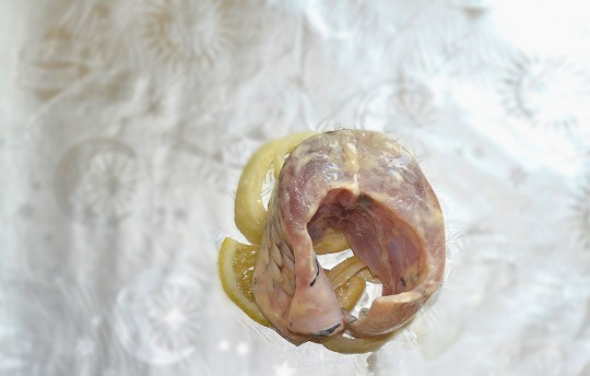 1. Этап. Пеленгас на мангале: На лист фольги выложите несколько колечек лука, лимон и кусочек рыбки. Заверните плотным конвертом.