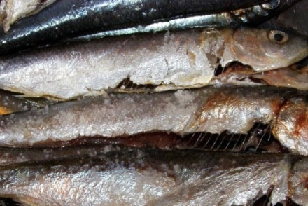 1. Этап. Салака жареная: Теперь посыпаем небольшим количеством соли и перемешиваем.