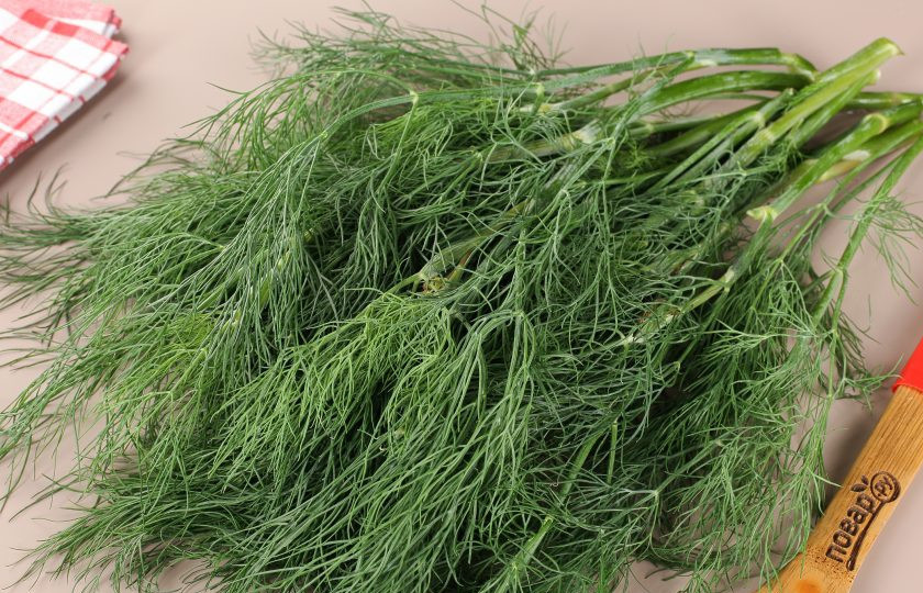 1. Этап. Заморозка укропа на зиму: Для этого рецепта понадобится только свежий укроп. Я указала примерный вес, вы берите сколько есть.