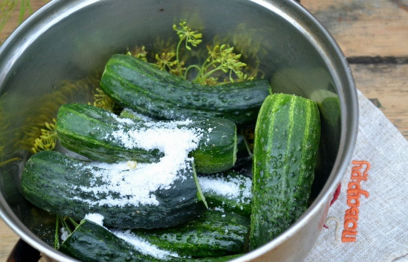 1. Этап. Огурчики на минералке: На дно кастрюли сложите половину зонтиков укропа, сверху выложите огурцы, присыпьте их солью. По этому рецепту я мариную огурцы в кастрюле, но можно мариновать их и в стеклянной банке, как обычно.