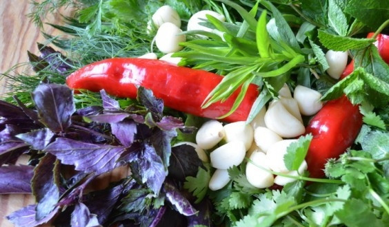 1. Этап. Ткемали: Из красного перчика удалите семена, сам перчик промойте. Чеснок очистите. Зелень промойте и обсушите, удалите твёрдые стебли.