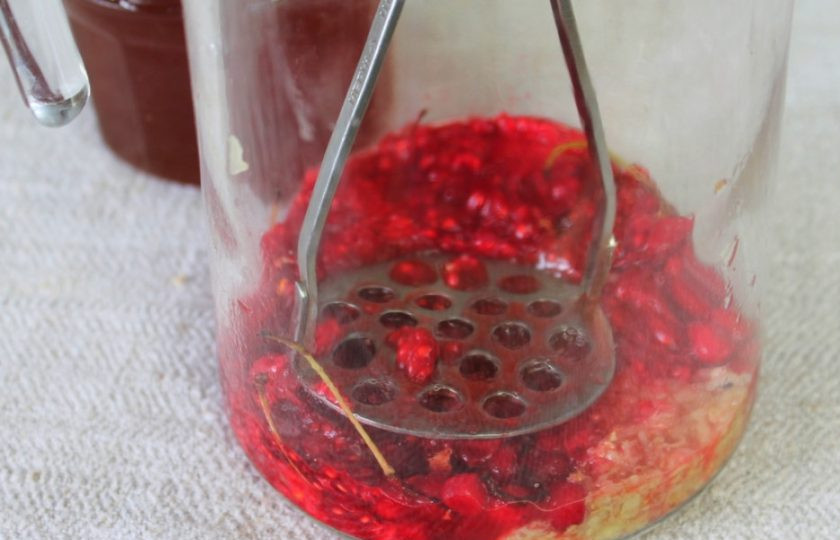 1. Этап. Имбирный напиток с малиной и лимонником: Толчем ягоды с имбирем, пока появится сок.