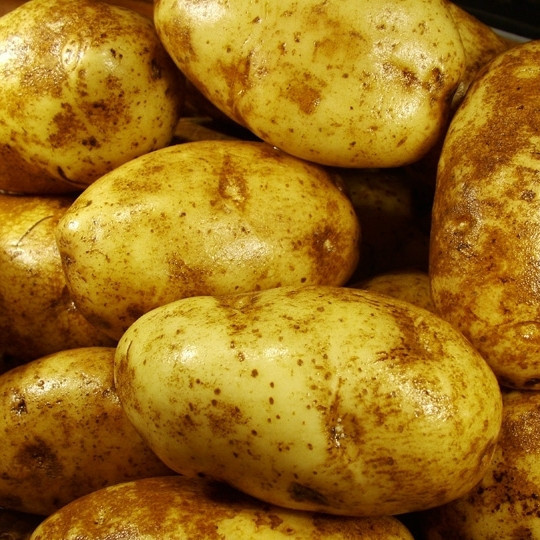 1. Этап. Картофельный салат с беконом: Картофель хорошенько промываем. Если картофель молодой, то его можно не чистить. Если старый - тогда, конечно, нужно очистить от кожуры. У меня был молодой, поэтому я не чистил.