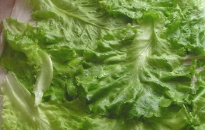 1. Этап. Лаваш с курицей: Сверху кладем промытые листья салата.