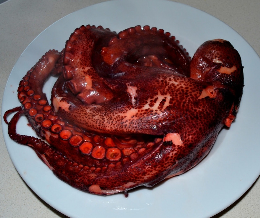 1. Этап. Жареные осьминоги: Достаем осьминога, даем ему остыть. Цвет он может поменять и вода покрасится, не пугайтесь. Он должен получиться мягким. Режем на кусочки. Обжарьте их в масле, чтобы они стали более хрустящими.