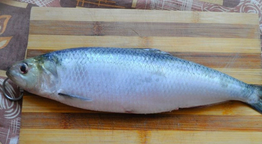1. Этап. Дунайская селедка: Рыбу почистите, выпотрошите и промойте.