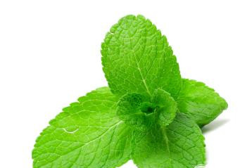 1. Этап. Тыквенный Мохито: 3. Листики мяты помять с сахаром, однако постараться не рвать их.