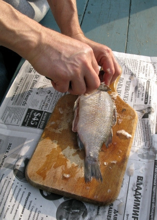 1. Этап. Уха на природе: Рыбу почистите и промойте в холодной воде. Часть рыбы (покрупнее) нарежьте на порционные куски и пока отложите в сторону, а мелкую рыбу оставьте целой.