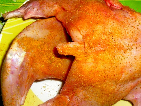 1. Этап. Кролик в аэрогриле: Теперь мясо надо замариновать. Натрем его солью, перцем, специями. Вообще я люблю еще добавлять винный уксус или красное вино. Но тогда надо больше времени. Мясо должно полежать в маринаде перед готовкой.