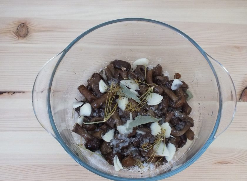 1. Этап. Засолка опят горячим способом: Сверху разложите специи и чеснок. Выложите вторую часть грибов, засыпьте оставшейся солью и добавьте оставшиеся специи и чеснок.