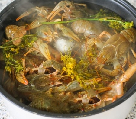 1. Stage. Boiled crayfish in a slow cooker: Boil water in a separate pan and pour it on the crayfish. Cover and cook in soup mode for 40 minutes.