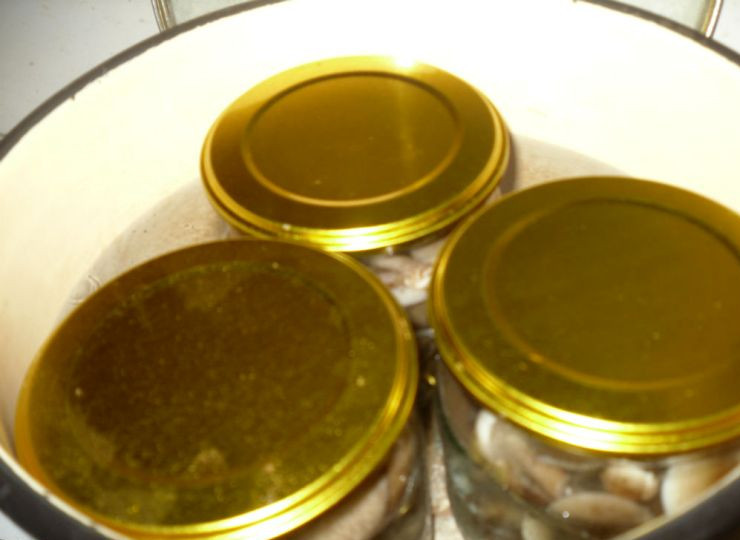 1. Этап. Маринованные опята с чесноком: Прикрываем их крышками и стерилизуем еще 20 минут.