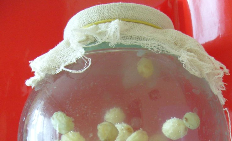 1. Этап. Квас из риса и изюма: 3. Вот примерно так выглядит квас спустя нужный срок: осадок оседает, а напиток становится почти прозрачным.