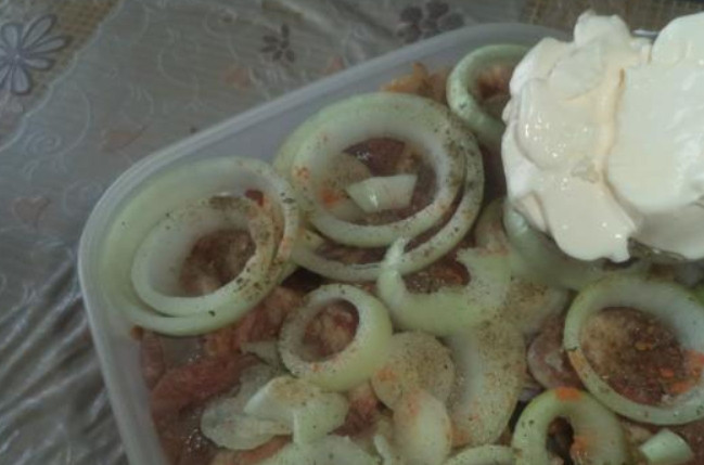 1. Этап. Шашлык из гуся: Добавляем специи и майонез. Растираем его по поверхности. В стакан воды вливаем 2 ст.л. уксуса. Выливаем воду в емкость. Присыпаем специями.