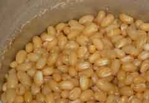 1. Этап. Салат с фасолью и морковью: Фасоль перед варкой лучше замочить хотя бы часика на 2. Так мы уменьшим время варки фасоли. Затем промываем фасоль и ставим варить примерно на 1 час. Солим фасоль минут за 10 до конца варки. Когда фасоль сварится - оставляем ее в воде, в которой она варилась примерно на пол часа. Затем сливаем воду и остужаем фасоль.