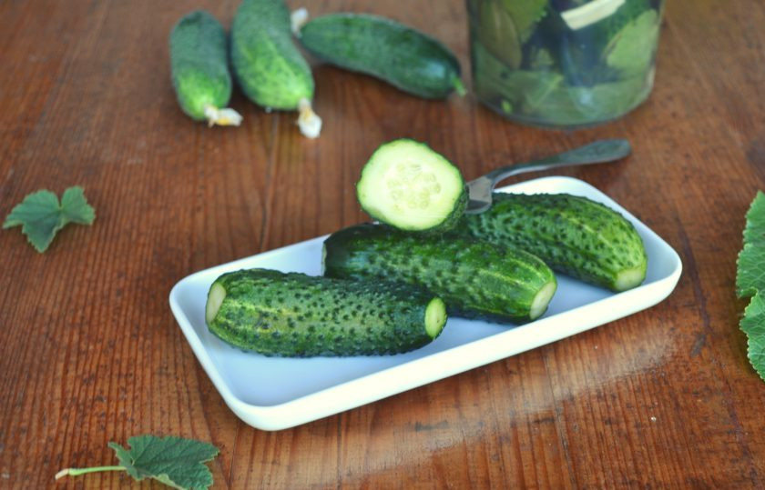 1. Этап. Малосольные огурцы в горячем рассоле: Угощайтесь!