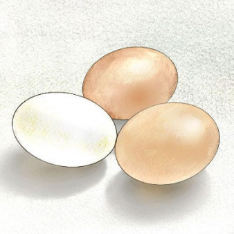 Sausage, Egg and English Muffin Breakfast Bake