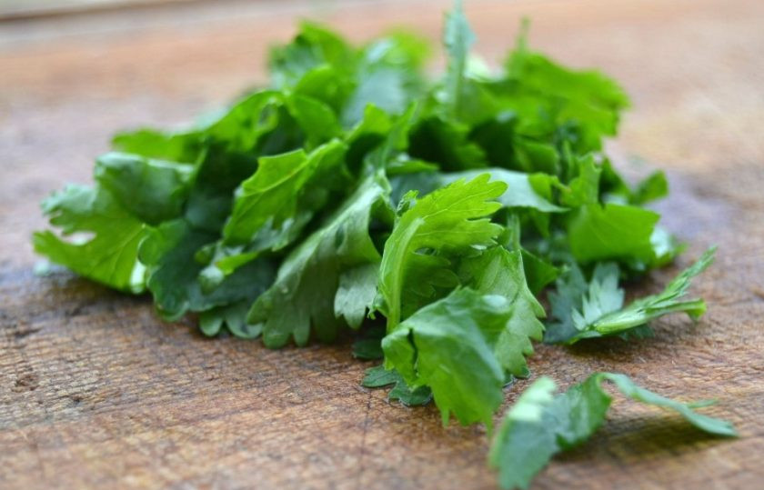 1. Этап. Запеченный фаршированный кальмар: 5. Обрежьте стебли кинзы, оставив только листочки, нашинкуйте мелко.