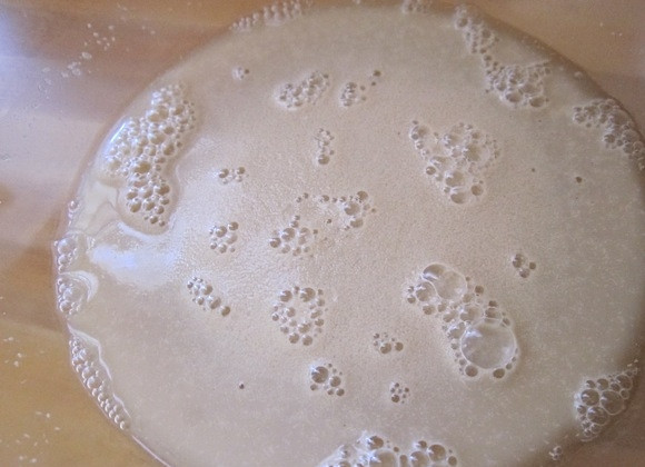 1. Этап. Тесто для пиццы из цельнозерновой муки: 1. В миску налейте воду, добавьте мед и дрожжи, перемешайте. Оставьте смесь на 7-10 минут.