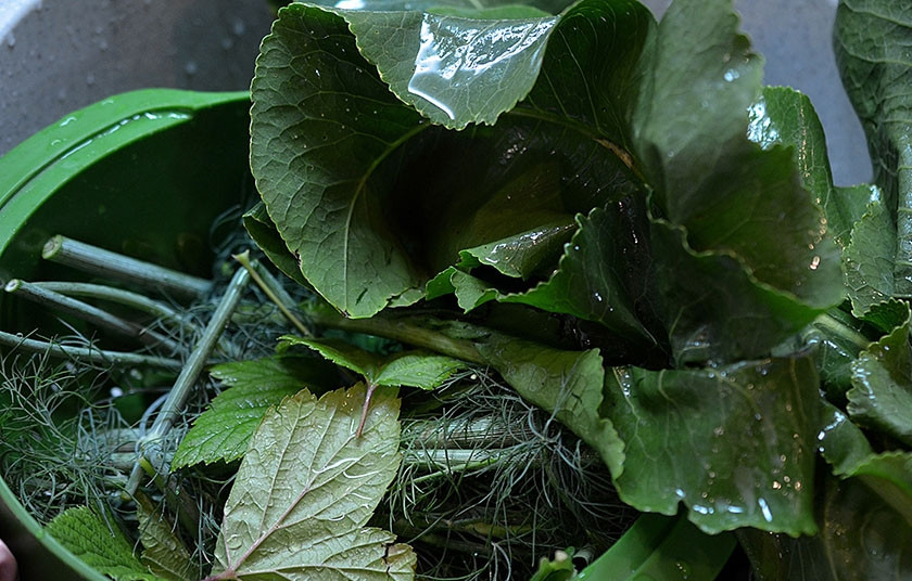1. Этап. Огурцы соленые (без уксуса): 2. Травы помойте.