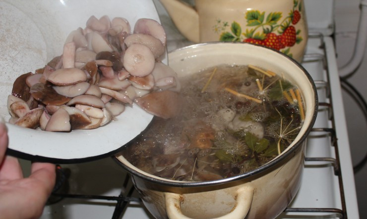 1. Этап. Маринованные маслята в масле: Затем в сваренный заранее маринад кладем грибы и кипятим их в течение 10 минут.