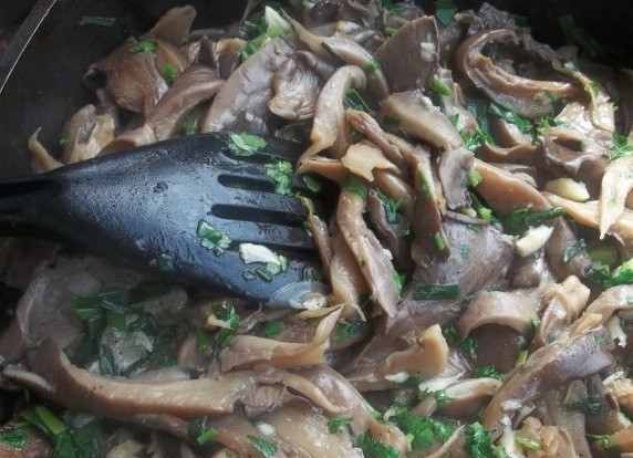 1. Этап. Вешенки с луком: Перемешайте и спустя 3-4 минуты снимайте с огня. Подавайте немедленно.