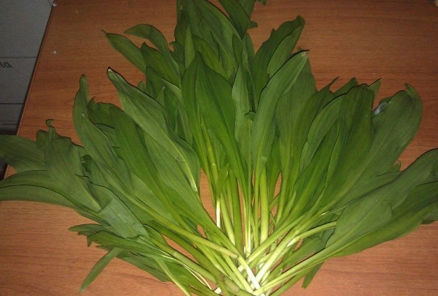 1. Этап. Черемша маринованная: Свежую черемшу обмойте. Теперь её нужно будет разобрать на составные части. Для начала отделите листья и корни. У вас должны остаться лишь стебли, которые и будут мариноваться.