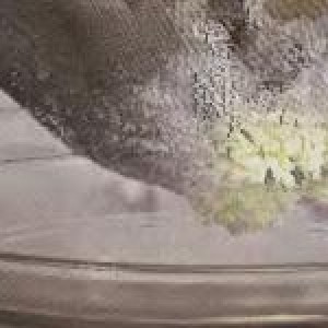 1. Этап. Рулетики из сыра и клубники: Клубнику промыть, убрать плодоножки, порезать пополам и отложить. Творог протереть через маленькое сито, добавить сметану и как следует перемешать.