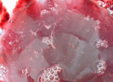 1. Этап. Смородиновый мусс: Желатин нагреваем и размешиваем до полного растворения, а затем остужаем. Добавляем к ягодному пюре белок и раствор желатина.