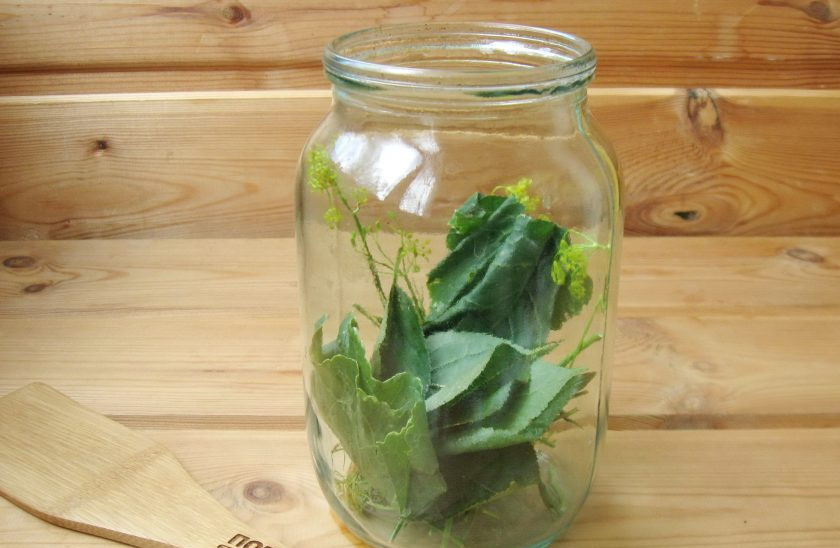 1. Этап. Помидоры Ежики: Добавьте вымытые листья хрена и вишни.