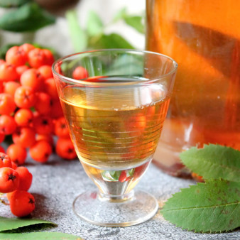 Рябина на коньяке в домашних условиях