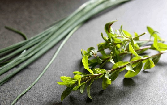 1. Этап. Семга на костре в фольге: 2. Для аромата можно использовать любую свежую зелень, которая есть под рукой. Прекрасно подойдет сюда укроп, петрушка, зеленый лук, тархун. Зелень вымыть, просушить слегка и измельчить.