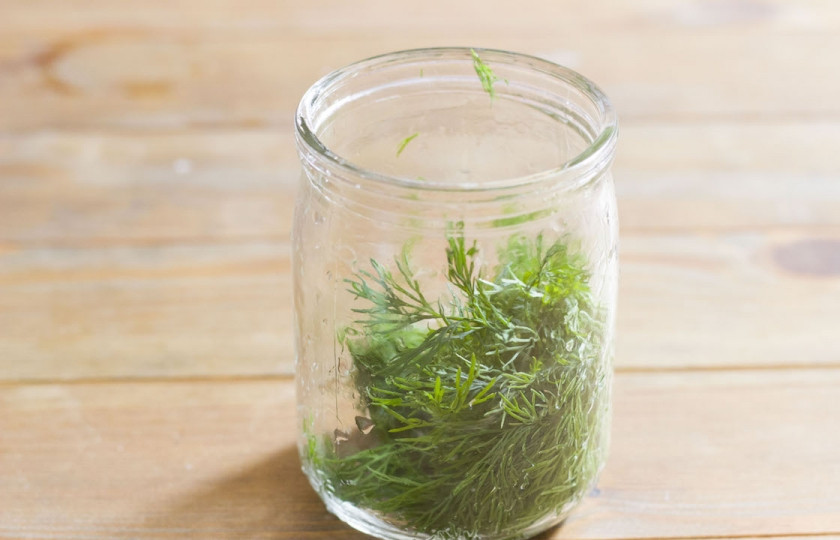 1. Этап. Патиссоны, маринованные без стерилизации: 3. Тем временем подготовим банку и маринад. Банку надо помыть, уложите в нее мытый укроп и зубок чеснока. Последний лучше разрезать на несколько частей.