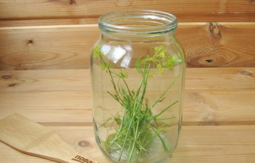 1. Этап. Помидоры Ежики: В стерилизованные банки выложите предварительно помытый укроп.