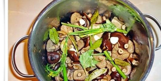 1. Этап. Волнушки в кляре: 4. Когда вода лишняя уйдет - добавим специи и приправы по вкусу. Варим еще 15 минут, снимаем пену и снимаем с огня.